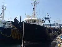 Trallers pārdod