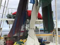 Trallers pārdod
