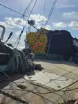 Purvotāju zvejas kuģis pārdod