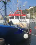 Trallers pārdod