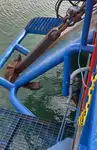 Naftas / Ķīmisko vielu tankkuģis pārdod
