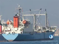 Reefer kuģis pārdod