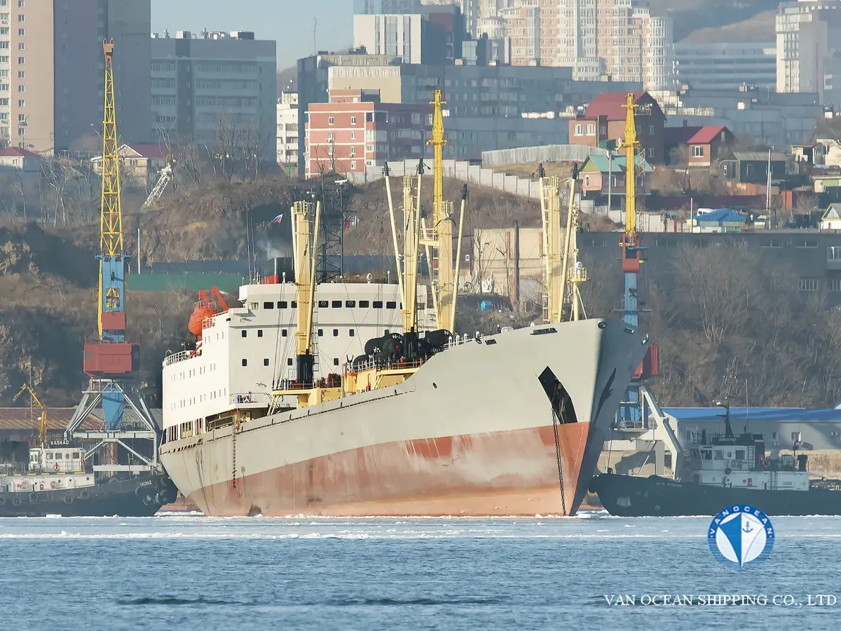 Reefer kuģis pārdod