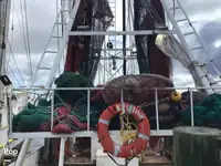 Trallers pārdod