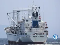 Reefer kuģis pārdod