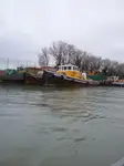 Velkonis pārdošanā