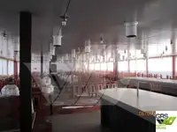 Kruīza kuģis pārdod