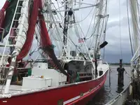Trallers pārdod