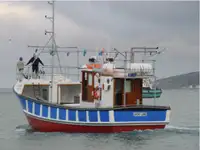 Trallers pārdod