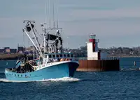Purse seiner pārdošanā