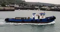 Velkonis pārdošanā