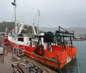 Trallers pārdod