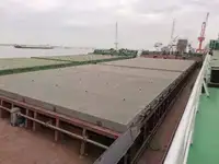 Beramkravu pārvadātājs pārdod