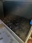 Kruīza kuģis pārdod