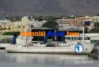 Reefer kuģis pārdod