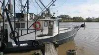 Trallers pārdod