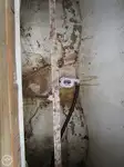 Trallers pārdod