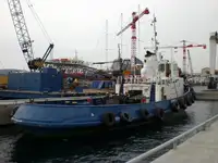 Velkonis pārdošanā