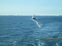Beramkravu pārvadātājs pārdod