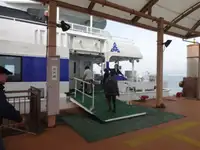 Katamarāns pārdod