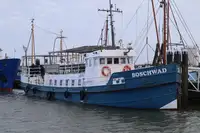 Liellaiva pārdošanā