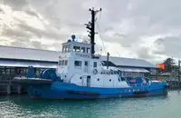 Velkonis pārdošanā