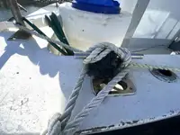 Trallers pārdod