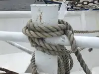 Trallers pārdod