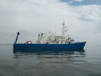 Daudzfunkcionāls pārdod