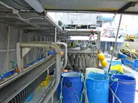 Longliner pārdošanā