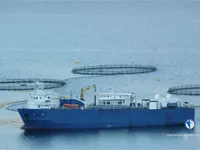 Reefer kuģis pārdod