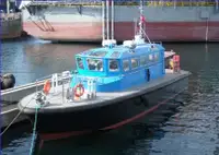 Vilcējs pārdod