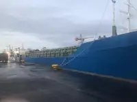 Beramkravu pārvadātājs pārdod