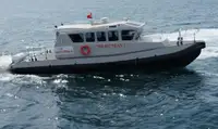 Velkonis pārdošanā