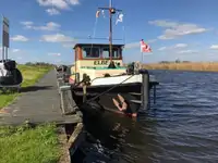 Velkonis pārdošanā