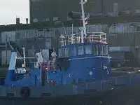 Velkonis pārdošanā