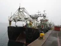 Trallers pārdod
