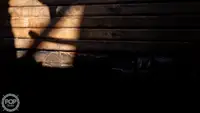 Trallers pārdod