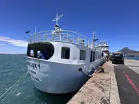 Trallers pārdod