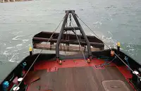 Velkonis pārdošanā