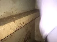 Naftas / Ķīmisko vielu tankkuģis pārdod