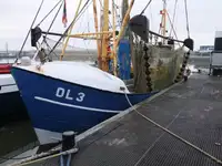 Trallers pārdod