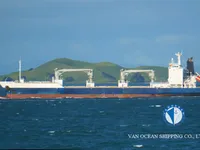Reefer kuģis pārdod