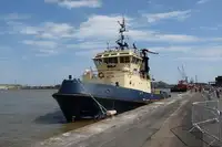 Velkonis pārdošanā