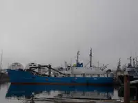 Beramkravu pārvadātājs pārdod