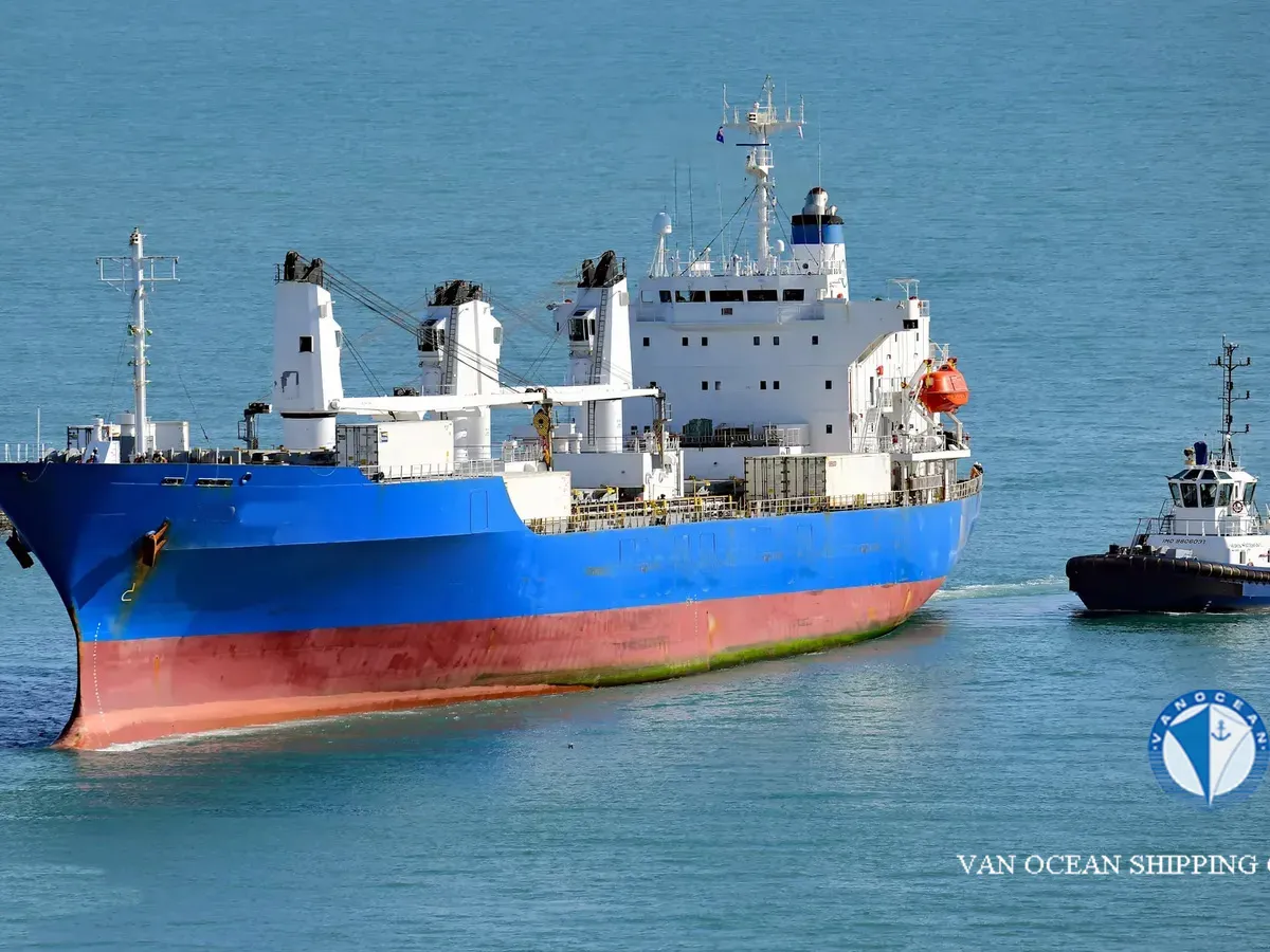 Reefer kuģis pārdod