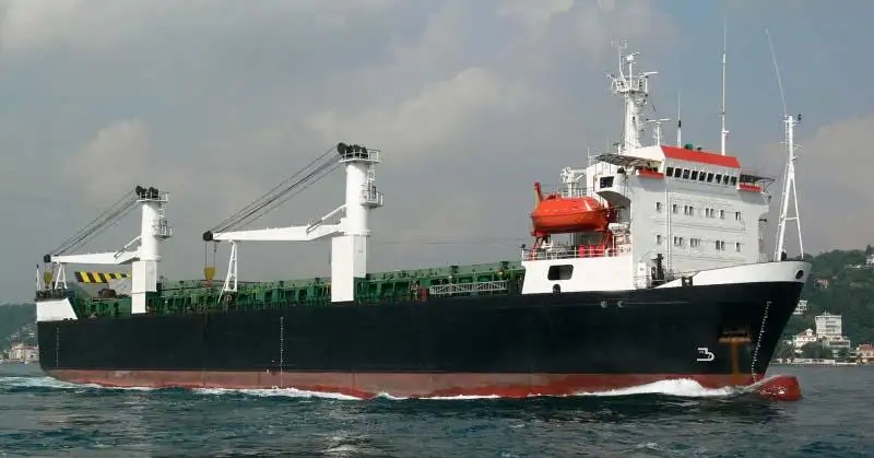 Reefer kuģis pārdod