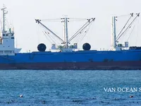 Reefer kuģis pārdod