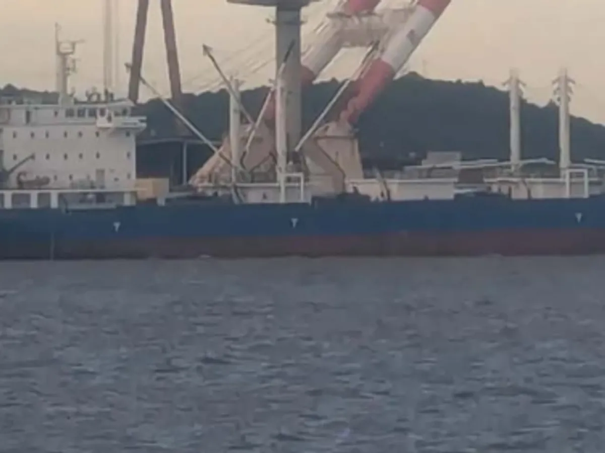 Reefer kuģis pārdod