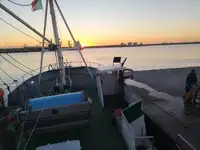 Trallers pārdod